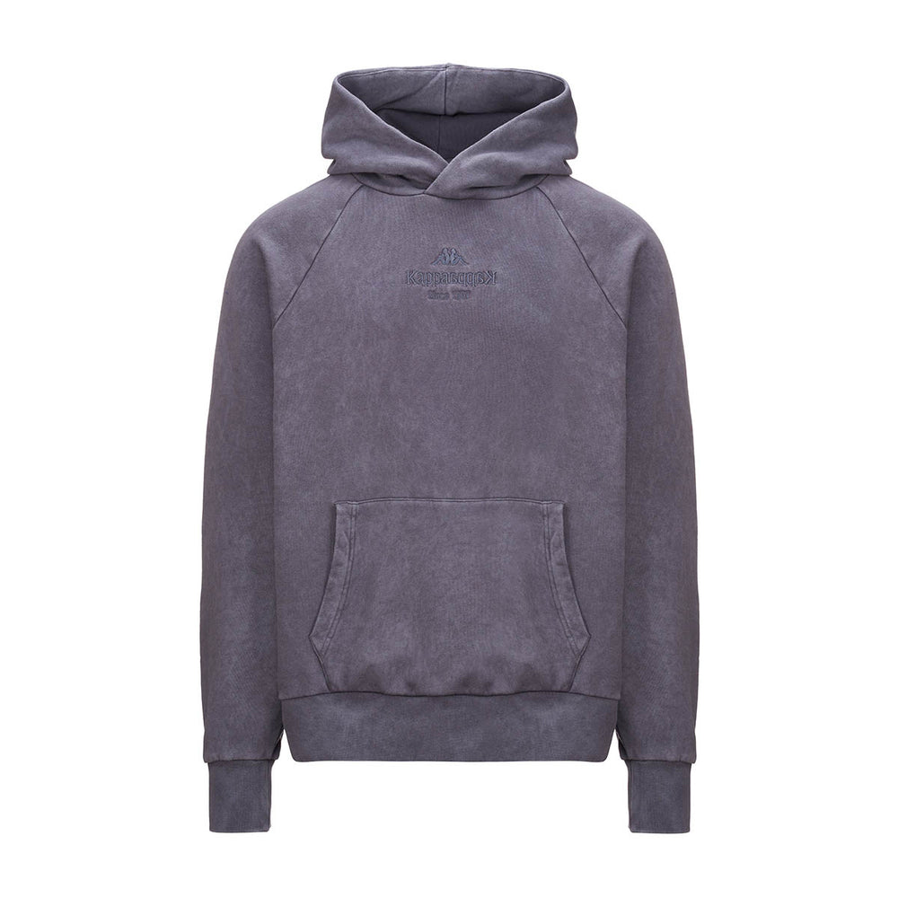 Hoodie Authentic Premium Lome Gris Homme 02