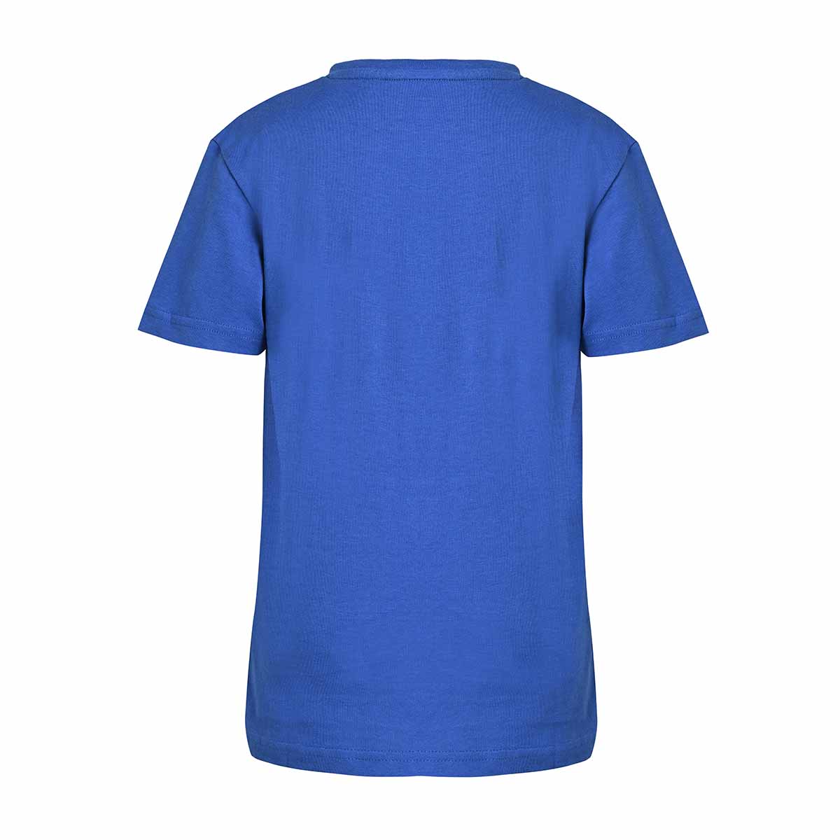 T-shirt Bartiz Bleu Enfant