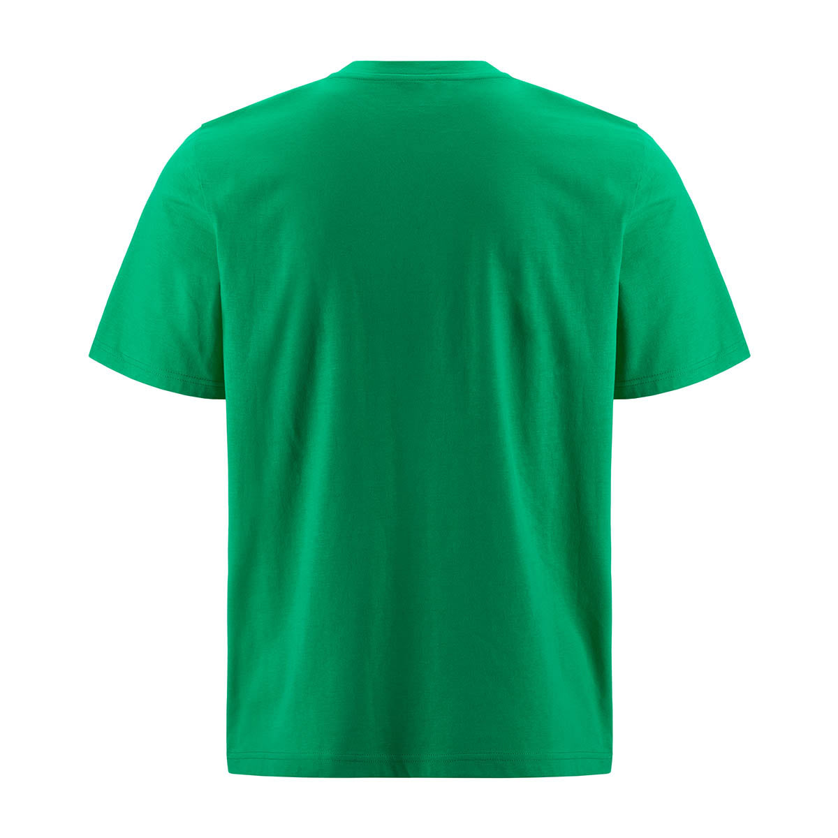 T-shirt Logo Fioro Vert Homme