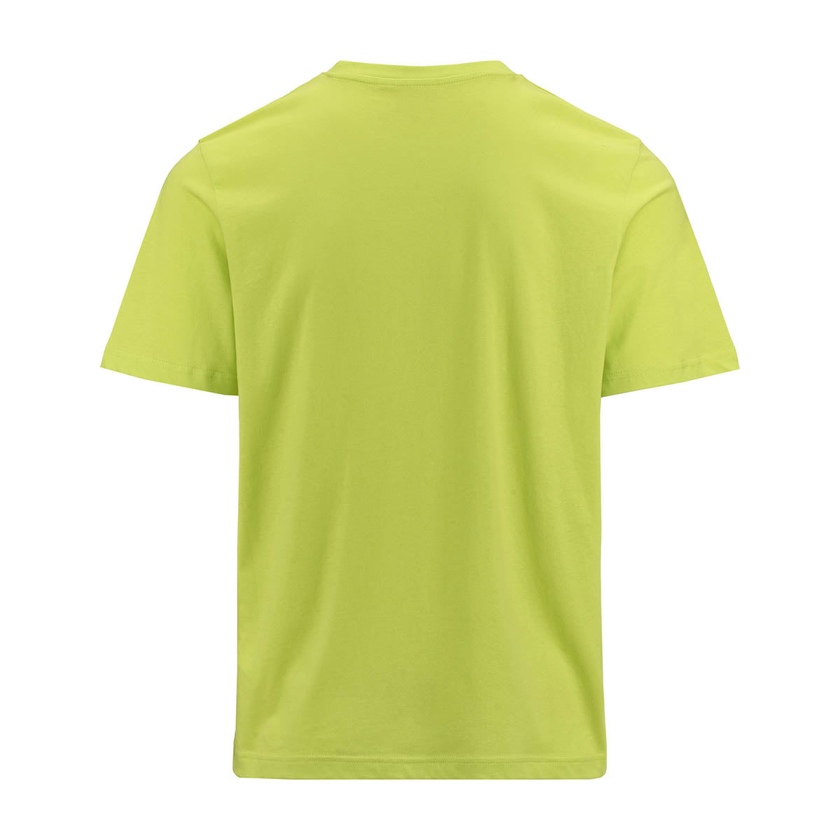 T-shirt Logo Fario Vert Homme