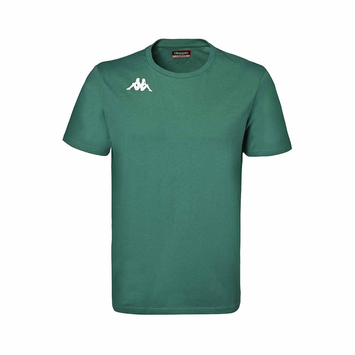 T-shirt Brizzo Vert Homme