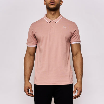 Polo homme Ezio Rose